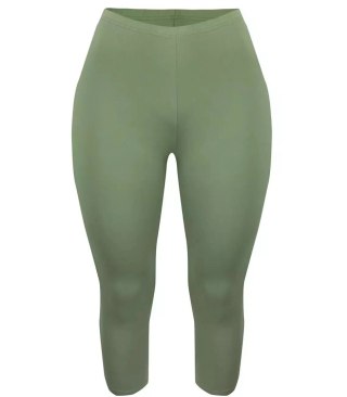 Klasyczne legginsy bezszwowe 3/4 plus size (Zielony) 6XL (52)