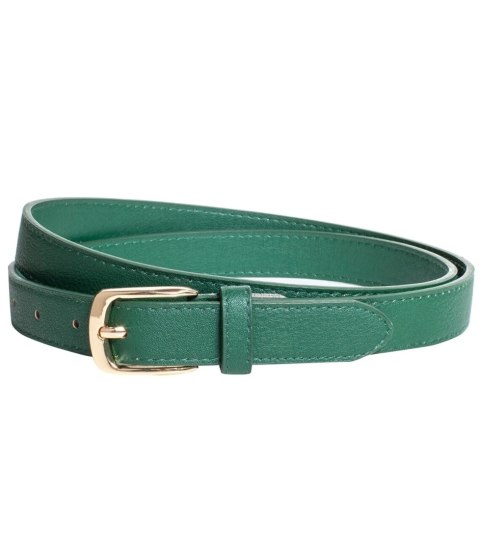 Gładki damski pasek z eko skóry ze złotą sprzączką 117x2,3 cm Elegancki (Zielony) Gładki damski pasek z eko skóry ze złotą sprzączką 117x2,3 cm Elegancki (Zielony)