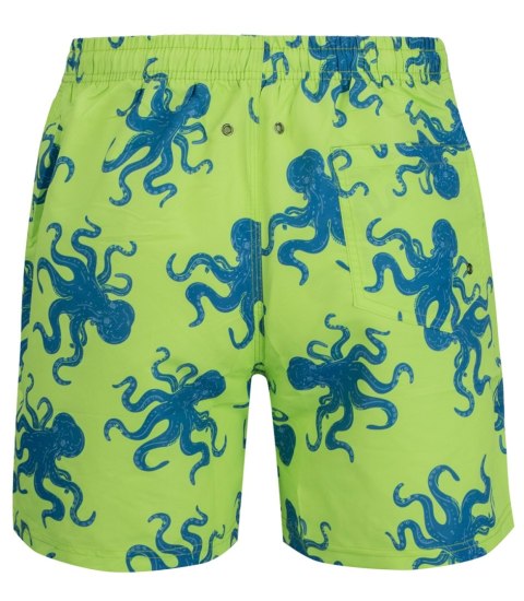 Spodenki szorty kąpielowe w morskie wzory print all over (Zielony || Wielokolorowy) M (38) Spodenki szorty kąpielowe w morskie wzory print all over (Zielony || Wielokolorowy) M (38)