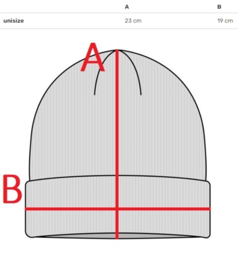 Ciepła czapka damska BEANIE zimowa jesienna jednokolorowa (Szary) Ciepła czapka damska BEANIE zimowa jesienna jednokolorowa (Szary)
