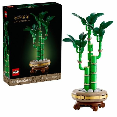 LEGO 10344 BOTANICALS Dracena sandera 6p