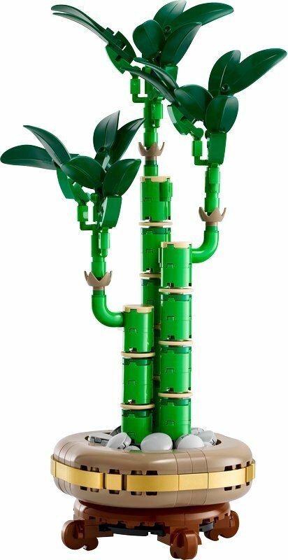 LEGO 10344 BOTANICALS Dracena sandera 6p