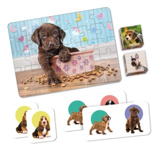 Clementoni Edukit 4w1 Puppies 18071