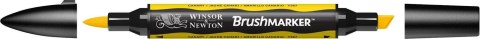 Brushmarker canary (Y367)