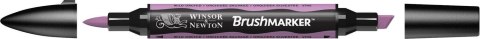 Brushmarker wild orchid (V746)