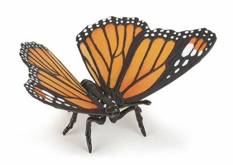 PAPO 50260 Motyl