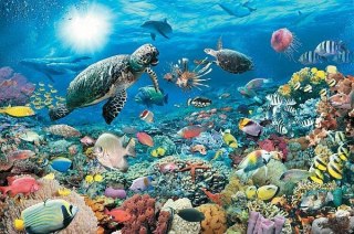 PROMO Puzzle 5000el Głębia oceanu 174263 RAVENSBURGER