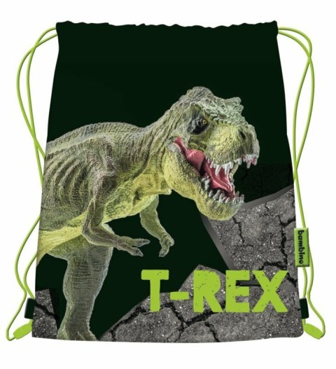 Worek na obuwie T-Rex