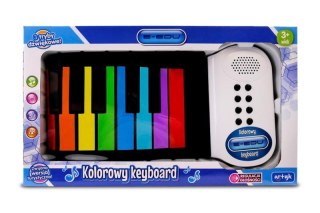 Kolorowy Keyboard E-Edu zwijany 63cm (3 tryby dźwiękowe) 169755