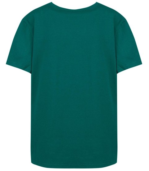 Bluzka koszulka t-shirt basic dekolt w serek ALDONA (Zielony) 2XL/3XL Bluzka koszulka t-shirt basic dekolt w serek ALDONA (Zielony) 2XL/3XL