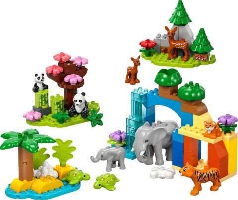 LEGO 10446 DUPLO TOWN Rodziny dzikich zwierząt 3 w 1 2p