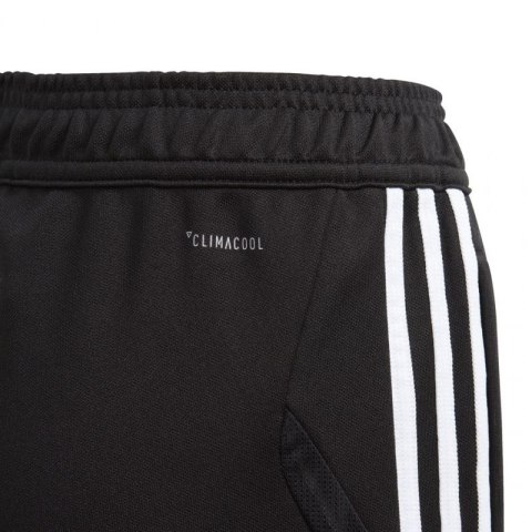 Spodnie piłkarskie adidas Tiro 19 Training Pant Junior D95961