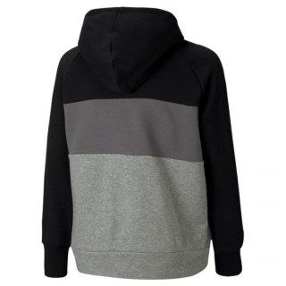 Bluza Puma Alpha Hoodie Jr 585892 01