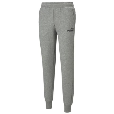 Spodnie Puma Essentials Logo Pants M 586714-03