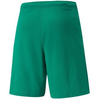 Spodenki Puma teamRISE Short M 704942 05