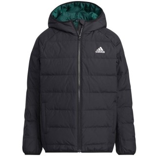 Kurtka adidas Frosty Winter Jackett Jr H45034