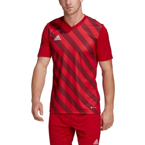 Koszulka adidas Entrada 22 Graphic Jersey M HB0572