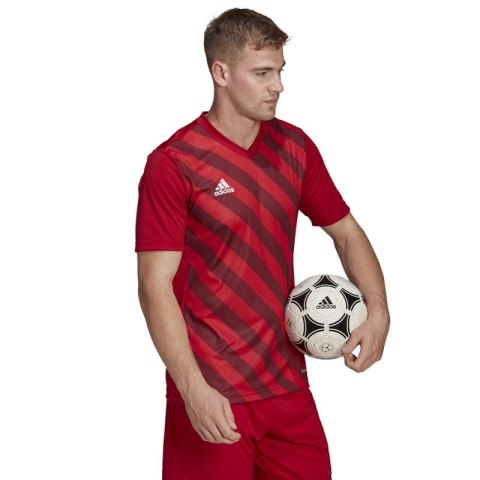 Koszulka adidas Entrada 22 Graphic Jersey M HB0572