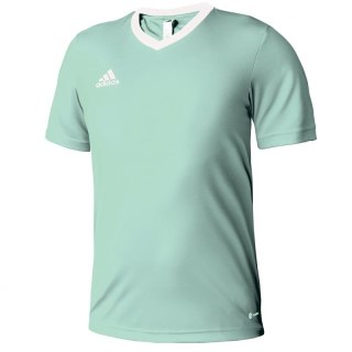 Koszulka adidas Entrada 22 Jersey Jr HC5078