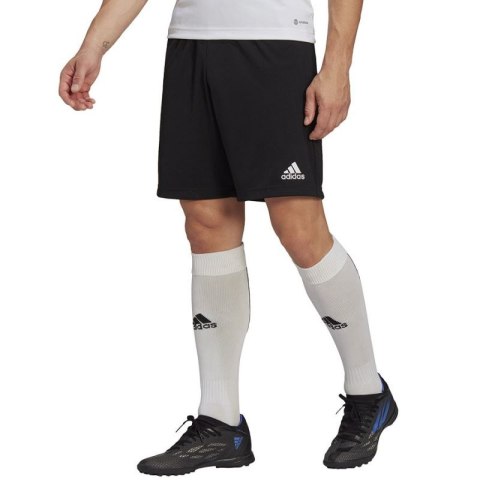 Spodenki adidas Entrada 22 Training Short M HB0575