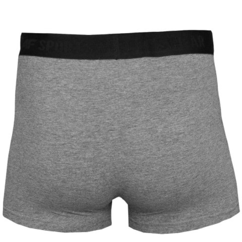 Bokserki 4F Men's Briefs M H4L22-BIM350-90M