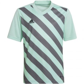 Koszulka adidas Entrada 22 Graphic Jersey Jr HF0127