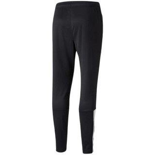 Spodnie Puma teamLIGA Training Pants M 657242 45