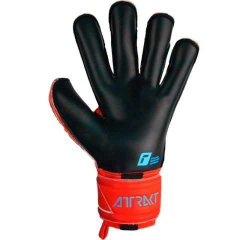 Rękawice bramkarskie Reusch Attrakt Gold X Evolution Cut Finger Support M 53 70 950 3333 Rękawice bramkarskie Reusch Attrakt Gold X Evolution Cut Finger Support M 53 70 950 3333