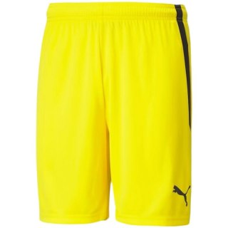 Spodenki Puma teamLIGA M 704924 07