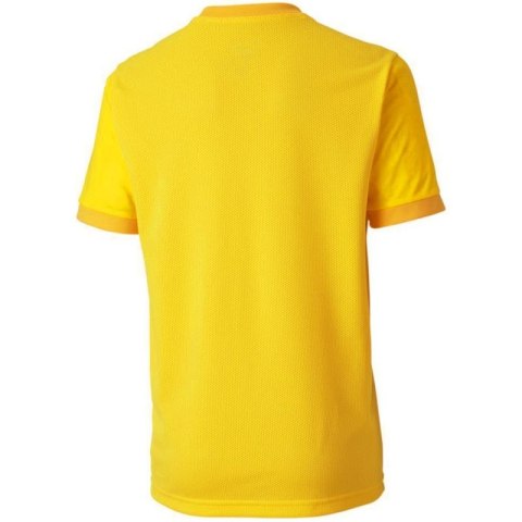 Koszulka Puma teamGOAL 23 Jersey Jr 704160 07