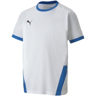 Koszulka Puma teamGOAL 23 Jersey Jr 704160 12