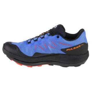 Buty do biegania Salomon Pulsar Trail GTX M 416080