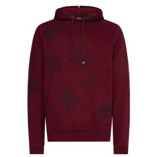 Bluza Tommy Hilfiger Critter Monogram Hoody M MW0MW28678