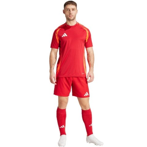 Spodenki adidas Tiro 24 Competition Training M IK2245