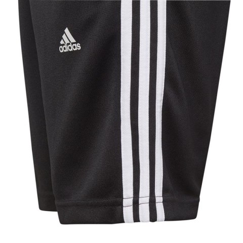 Spodenki adidas Designed 2 Move 3-Stripes Shorts Jr HI6833