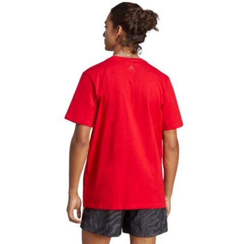 Koszulka adidas Essentials Single Jersey Big Logo M IC9352 Koszulka adidas Essentials Single Jersey Big Logo M IC9352