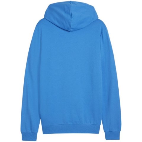 Bluza Puma Team Goal Casuals Hooded M 658595 02