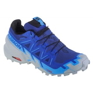 Buty do biegania Salomon Speedcross 6 GTX W 473020