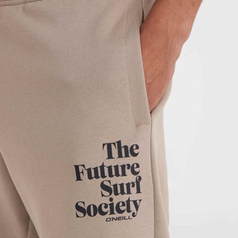Spodnie O'Neill Future Surf Society Jogger M 92800613477