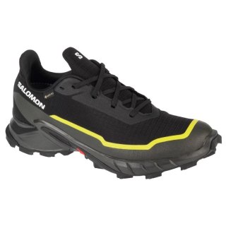 Buty Salomon Alphacross 5 GTX M 474604