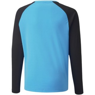 Bluza bramkarska Puma teamPacer GK LS Jersey Jr 704939 40