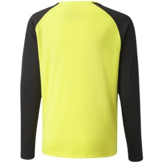 Bluza bramkarska Puma teamPacer GK LS Jersey Jr 704939 42