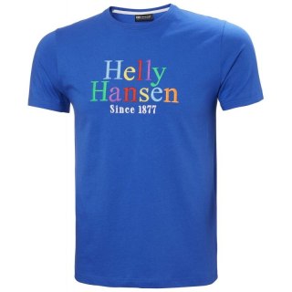 Koszulka Helly Hansen Core Graphit T M 53936 543