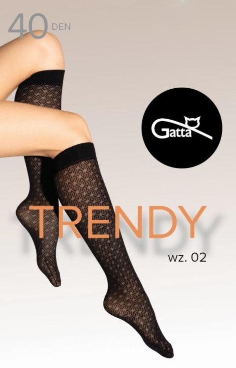 TRENDYLINE KNEE SOCKS 01, 02 - PODKOLANÓWKI DAMSKIE WZORZYSTE 40 DEN - 000.65Y - TRENDY 24/25