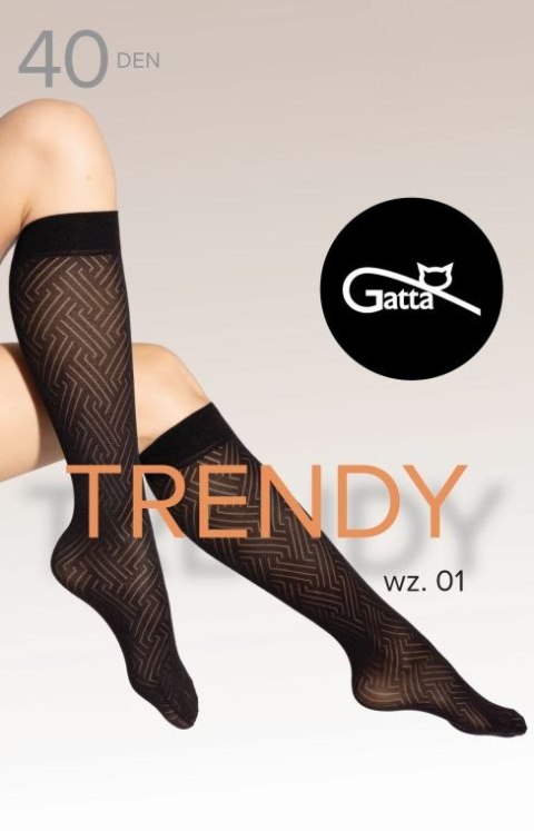 TRENDYLINE KNEE SOCKS 01, 02 - PODKOLANÓWKI DAMSKIE WZORZYSTE 40 DEN - 000.65Y - TRENDY 24/25