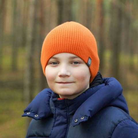 Czapka zimowa dla chłopca, niebieska Imbir Czapka zimowa dla chłopca, niebieska Imbir