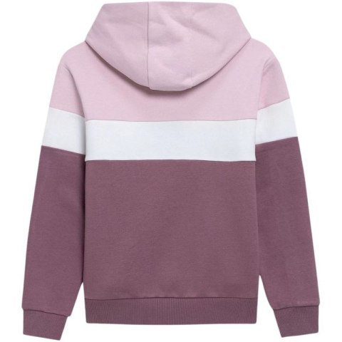 Bluza 4F Jr HJL22 JBLD002 60S Bluza 4F Jr HJL22 JBLD002 60S