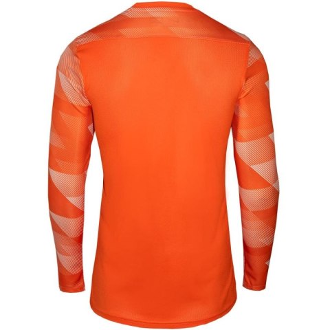 Koszulka Nike Dry Park IV JSY LS GK Jr CJ6072-819 S Koszulka Nike Dry Park IV JSY LS GK Jr CJ6072-819 S