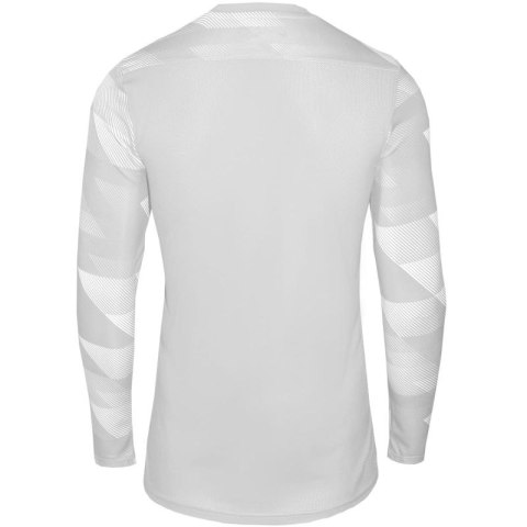 Koszulka Nike Dry Park IV JSY LS GK Jr CJ6072-052 122 cm Koszulka Nike Dry Park IV JSY LS GK Jr CJ6072-052 122 cm