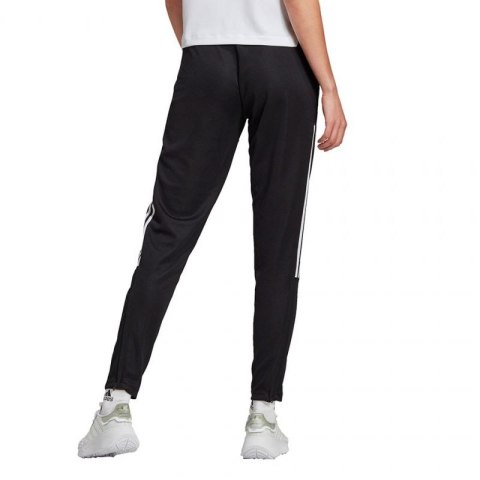 Spodnie adidas Tiro 21 Track W GM7310 M Spodnie adidas Tiro 21 Track W GM7310 M